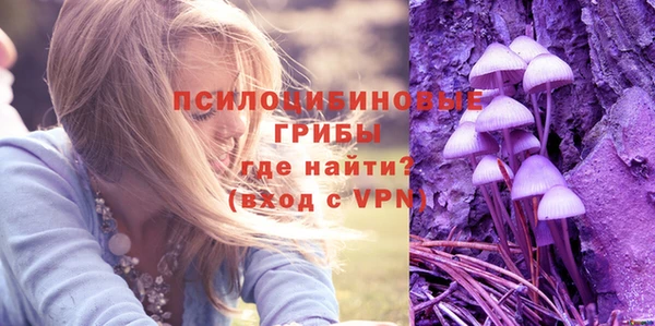 крисы Гусиноозёрск