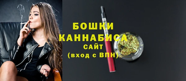крисы Гусиноозёрск