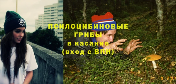 крисы Гусиноозёрск