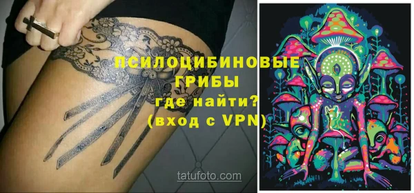 спайс Гусь-Хрустальный