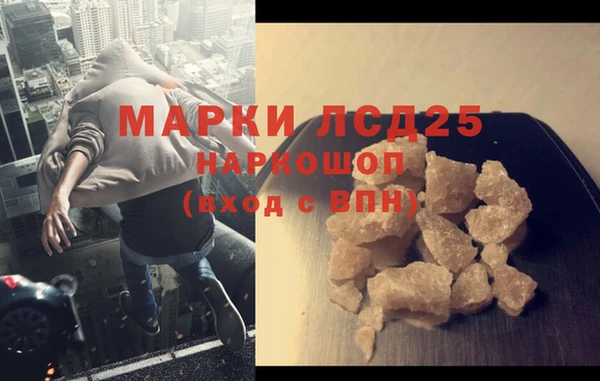 спайс Гусь-Хрустальный