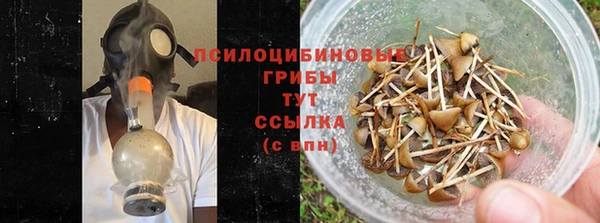 крисы Гусиноозёрск