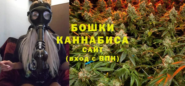 спайс Гусь-Хрустальный