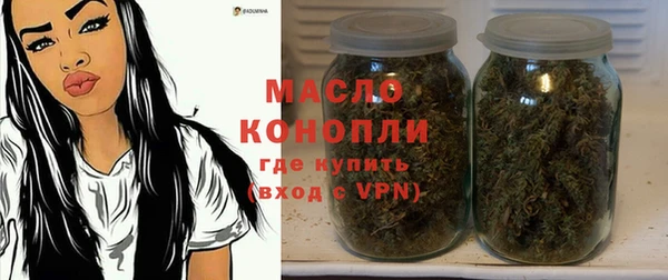 спайс Гусь-Хрустальный