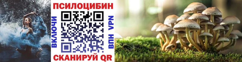 Купить где  Кедровый  Псилоцибиновые грибы мухоморы 